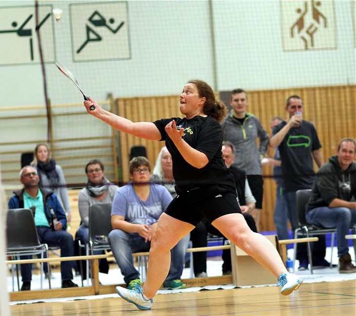 SC Itzehoe, SCI-Badminton