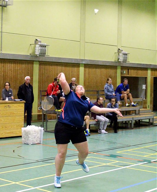 SC Itzehoe, SCI-Badminton