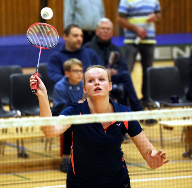 SC Itzehoe, SCI-Badminton