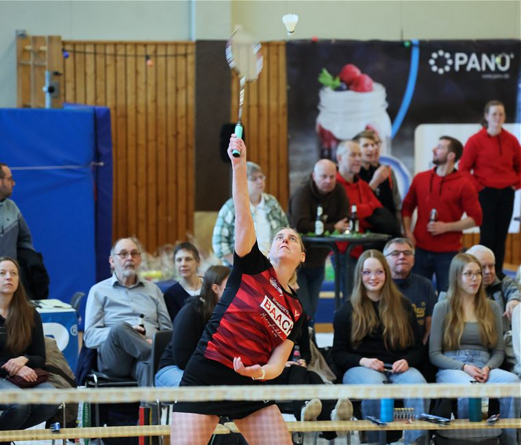 SC Itzehoe, SCI-Badminton